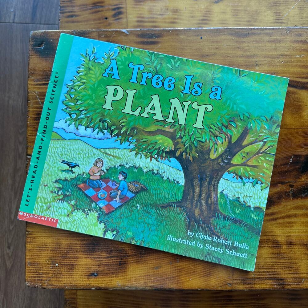 Vintage 2002 Scholastic A Tree Is A Plant Science Paperback Book